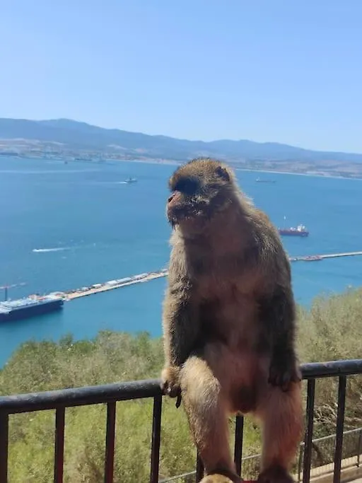 Apartament Luxury Apartment/High Floor/Stunning Views/Parking Gibraltar